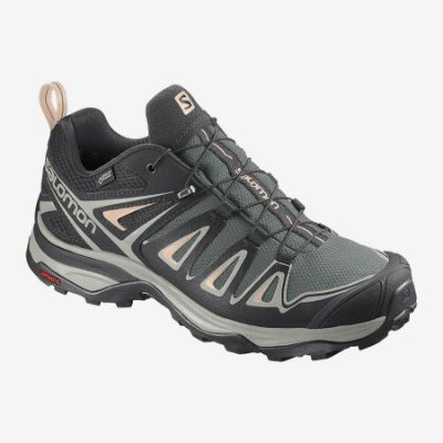 Salomon-X-Ultra-3-GTX-W-75679.jpg